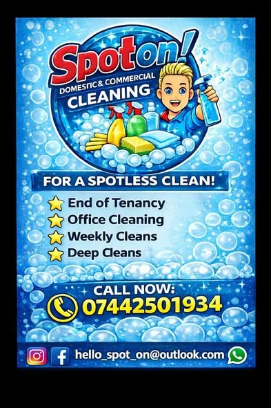 Spot On spotless clean flyer