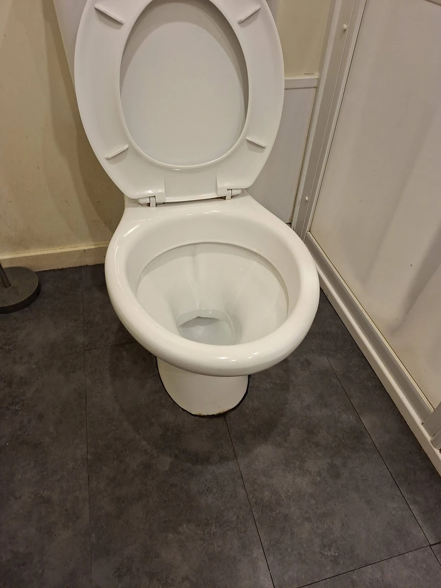 After cleaning: toilet restored to a visibly cleaner condition