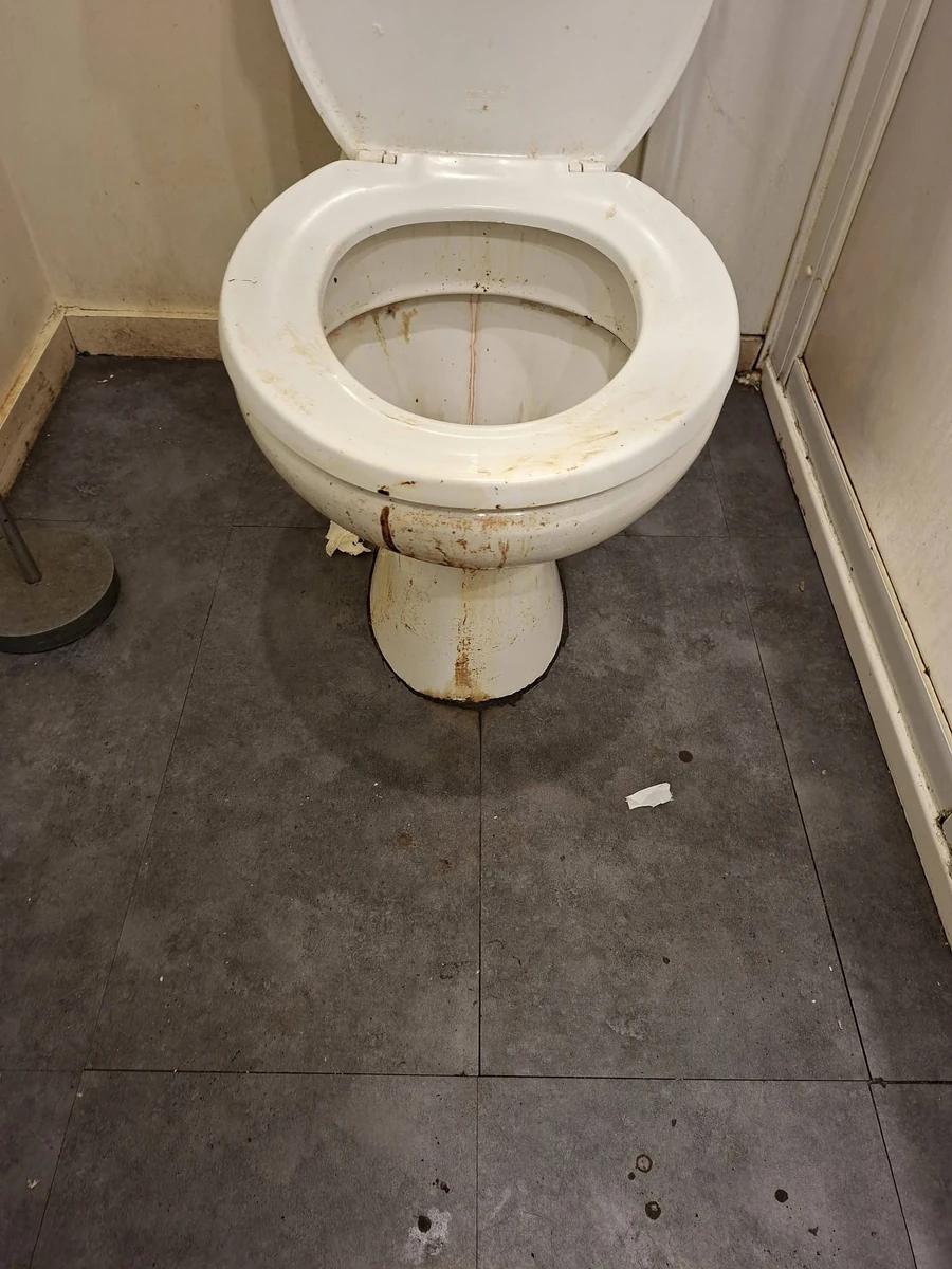 Before cleaning: toilet with visible dirt and staining